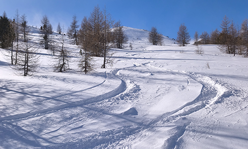 Rückblick auf Pulverschwünge im Tiefschnee