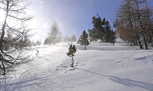Stürmischer Wind verweht den leichten Pulverschnee